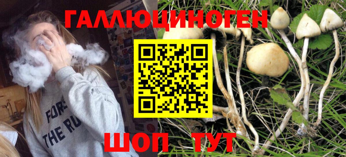 Мирный  дарнет шоп  Вход с VPN  Галлюциногенные грибы MAGIC MUSHROOMS 